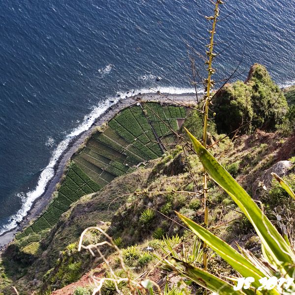 Gabo Girao - Klippe auf Madeira