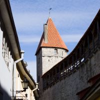 Wehrmauer von Tallinn